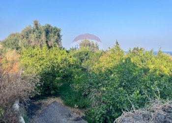 Giardino - Terreno agricolo Via Colomba
 
34, Acireale - foto 9