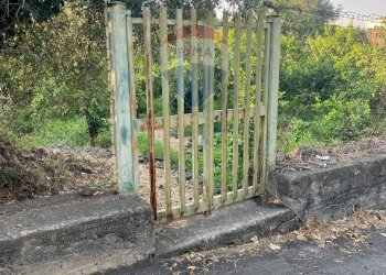 Giardino - Terreno agricolo Via Colomba
 
34, Acireale - foto 11