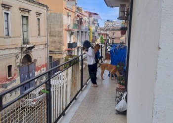 Balcone - Appartamento via Acitrezza
 
14 A, Catania - foto 30