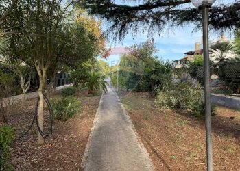 Giardino - Trilocale Via Sciale degli Zingari (Sciale degli Zingari)
 
19, Manfredonia - foto 19