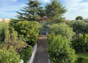 Giardino - Trilocale Via Sciale degli Zingari (Sciale degli Zingari)
 
19, Manfredonia - foto 23