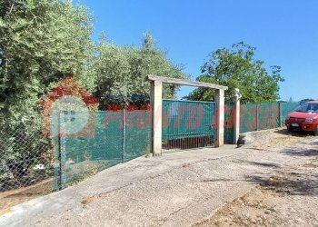 Foto 3 - Stabile - Palazzo Loc. SAN NICOLA
 
snc, Vico del Gargano - foto 3