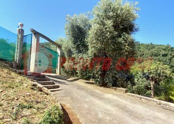 Foto 4 - Stabile - Palazzo Loc. SAN NICOLA
 
snc, Vico del Gargano - foto 4