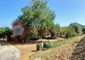 Foto 5 - Stabile - Palazzo Loc. SAN NICOLA
 
snc, Vico del Gargano - foto 5