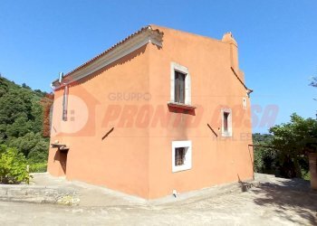 Foto 6 - Stabile - Palazzo Loc. SAN NICOLA
 
snc, Vico del Gargano - foto 6