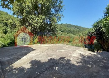 Foto 10 - Stabile - Palazzo Loc. SAN NICOLA
 
snc, Vico del Gargano - foto 10