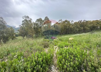 Giardino - Villa contrada strazzasiti, Monreale - photo 18