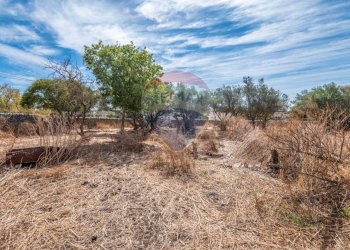 Giardino - Rustico contrada mendolilli
 
sn, Ragusa - foto 27
