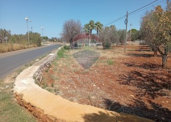 Giardino - Terreno edificabile Contrada Specchia di Mare, San Vito dei Normanni - foto 4