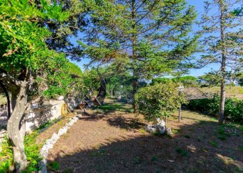 Giardino - Baita Via Massafra
 
260, Martina Franca - foto 9