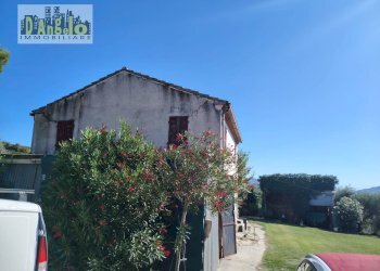 Foto 5 - Rustic Contrada Tesino
 
171, Offida - photo 5