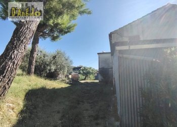 Foto 7 - Rustic Contrada Tesino
 
171, Offida - photo 7