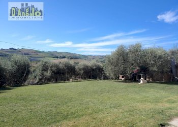 Foto 8 - Rustic Contrada Tesino
 
171, Offida - photo 8