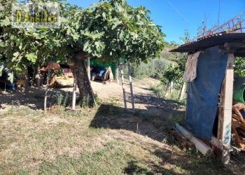 Foto 9 - Rustic Contrada Tesino
 
171, Offida - photo 9