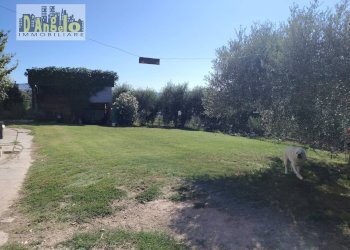 Foto 11 - Rustic Contrada Tesino
 
171, Offida - photo 11