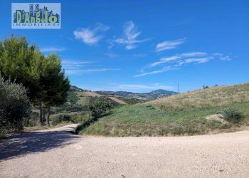 Foto 12 - Rustic Contrada Tesino
 
171, Offida - photo 12