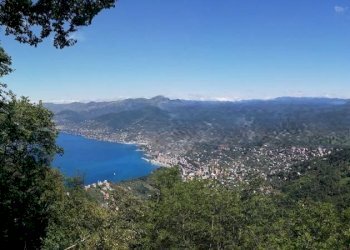 Vista - Villa via Franco Molfino, Camogli - foto 4