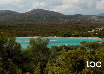 Villa Olbia - foto 4