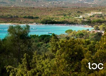 Villa Olbia - foto 5