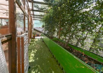 Independent house Torino - photo 35