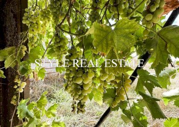 caseggiato - Casale Palazzolo Acreide - foto 12