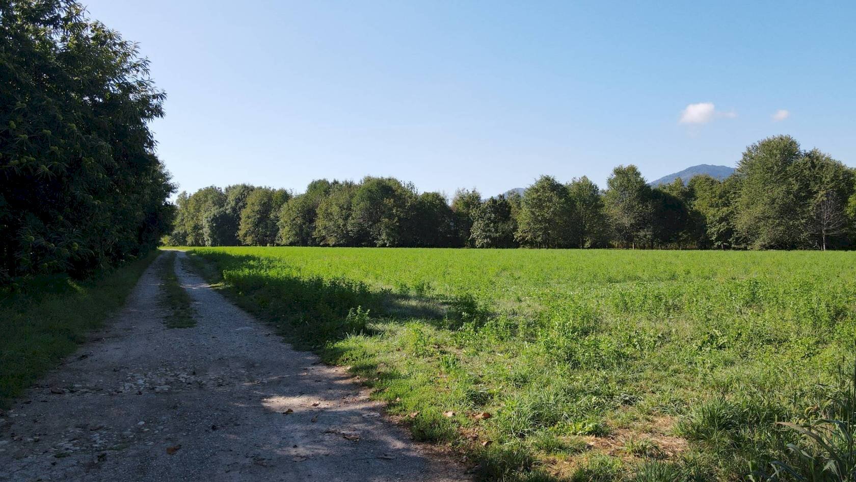 Terreno edificabile Cascina Bramardi, Cervasca - foto 3