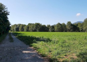 Terreno edificabile Cascina Bramardi, Cervasca - foto 3