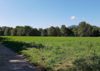 Terreno edificabile Cascina Bramardi, Cervasca - foto 4