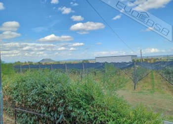 Casa indipendente Via Assarti 28, Barge - foto 46