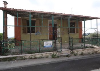 Foto 3 - Casa indipendente Via Giardino
 
snc, Controguerra - foto 3