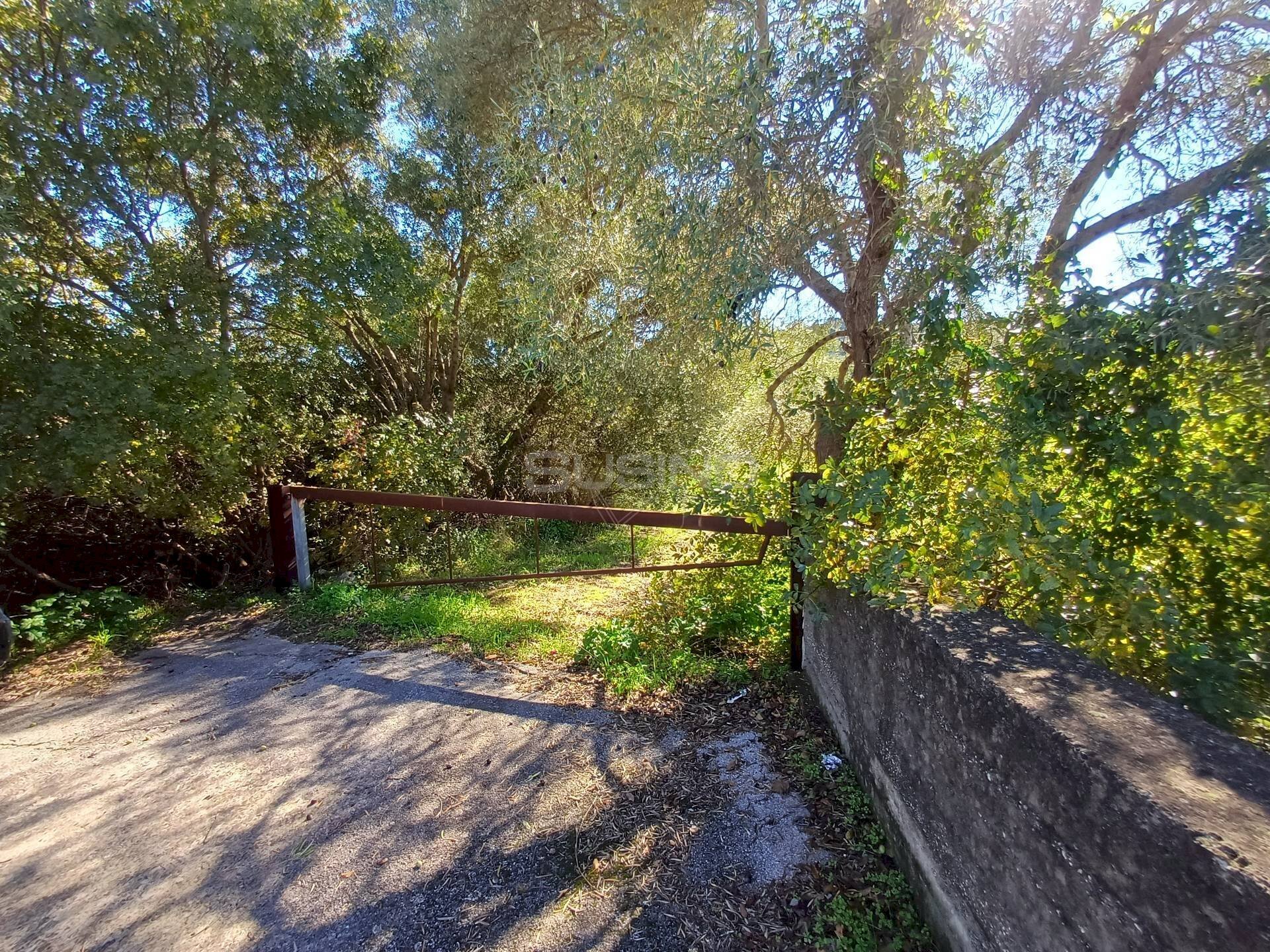 Foto 2 - Terreno agricolo C.da GAROFALO
 
snc, Canicattini Bagni - foto 2