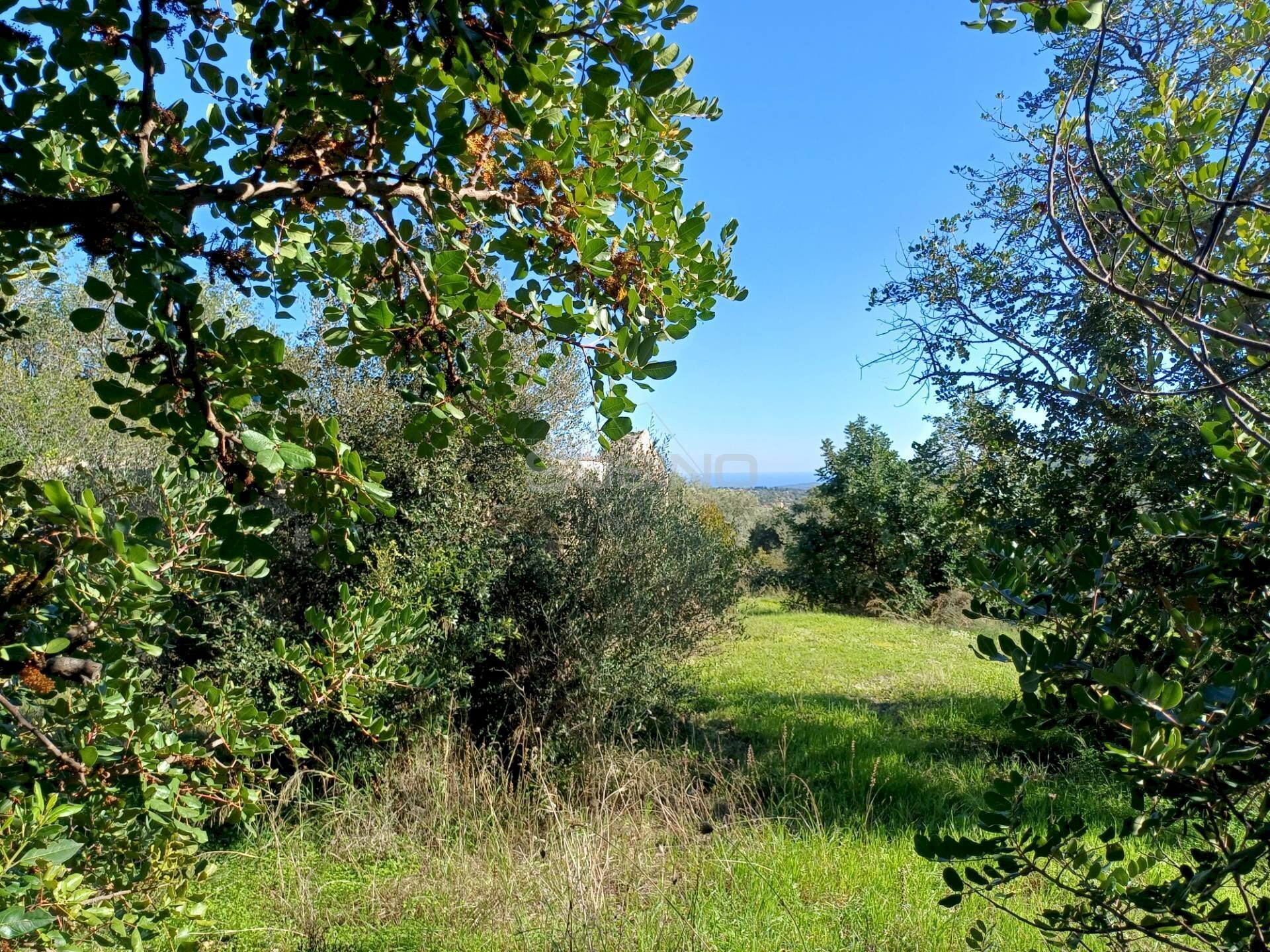 Foto 3 - Terreno agricolo C.da GAROFALO
 
snc, Canicattini Bagni - foto 3