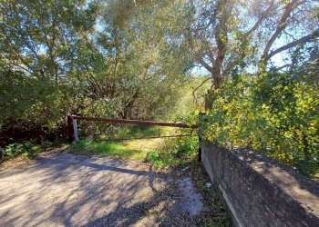 Foto 2 - Terreno agricolo C.da GAROFALO
 
snc, Canicattini Bagni - foto 2