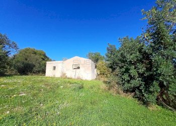 Foto 4 - Terreno agricolo C.da GAROFALO
 
snc, Canicattini Bagni - foto 4