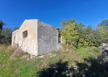 Foto 5 - Terreno agricolo C.da GAROFALO
 
snc, Canicattini Bagni - foto 5