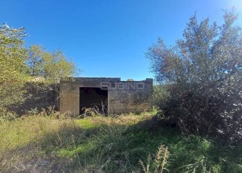 Foto 6 - Terreno agricolo C.da GAROFALO
 
snc, Canicattini Bagni - foto 6