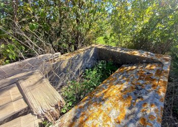 Foto 7 - Terreno agricolo C.da GAROFALO
 
snc, Canicattini Bagni - foto 7