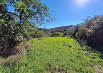 Foto 8 - Terreno agricolo C.da GAROFALO
 
snc, Canicattini Bagni - foto 8