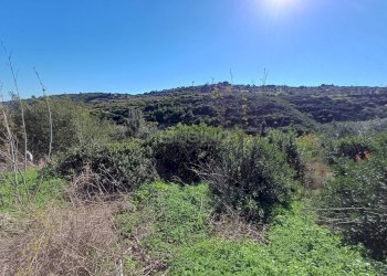 Foto 9 - Terreno agricolo C.da GAROFALO
 
snc, Canicattini Bagni - foto 9