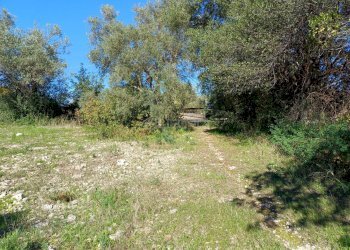 Foto 10 - Terreno agricolo C.da GAROFALO
 
snc, Canicattini Bagni - foto 10