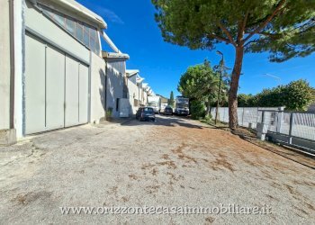 Foto 4 - Capannone Ascoli Piceno - foto 4