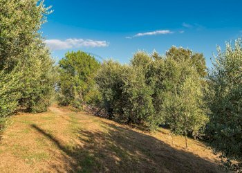 Foto 28 - Casa indipendente Via Colle Frattuccio
 
18, Ceprano - foto 28