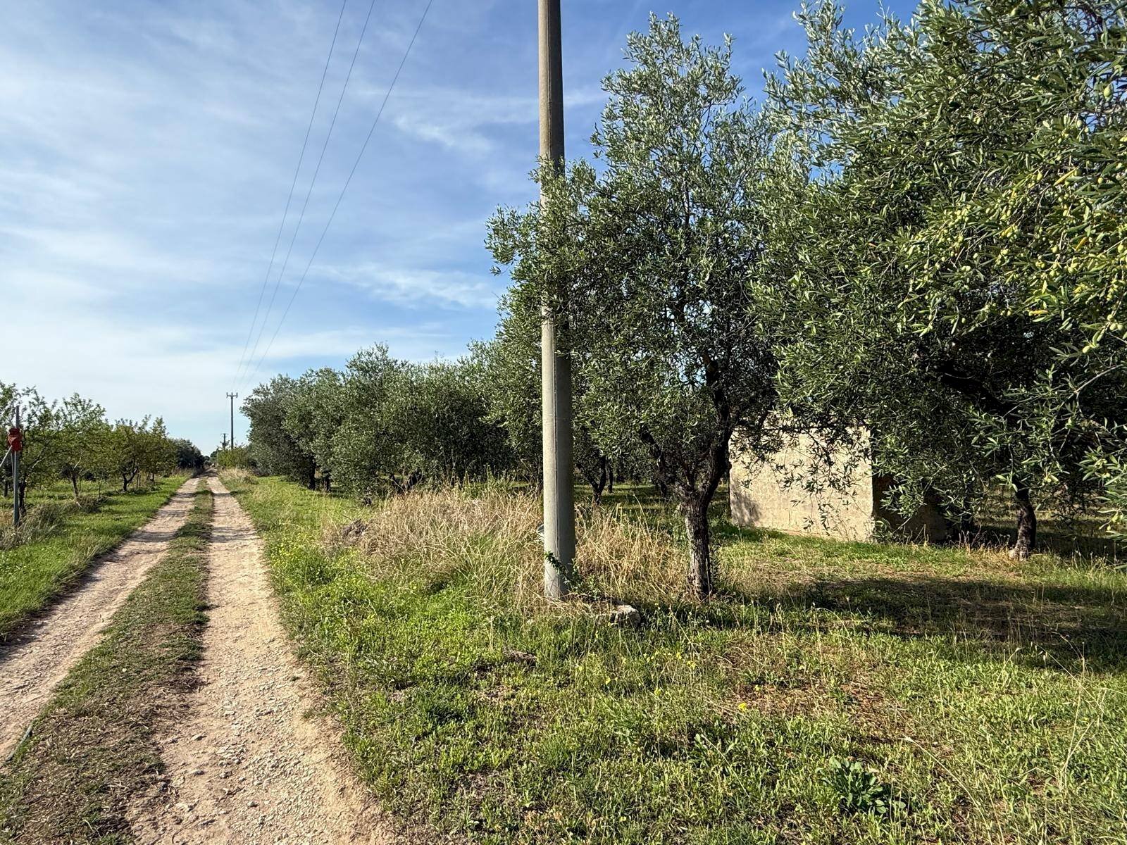 Foto 1 - Agricultural land Crispiano - photo 1