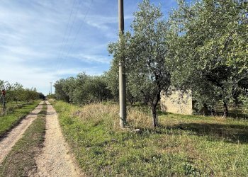 Foto 1 - Agricultural land Crispiano - photo 1