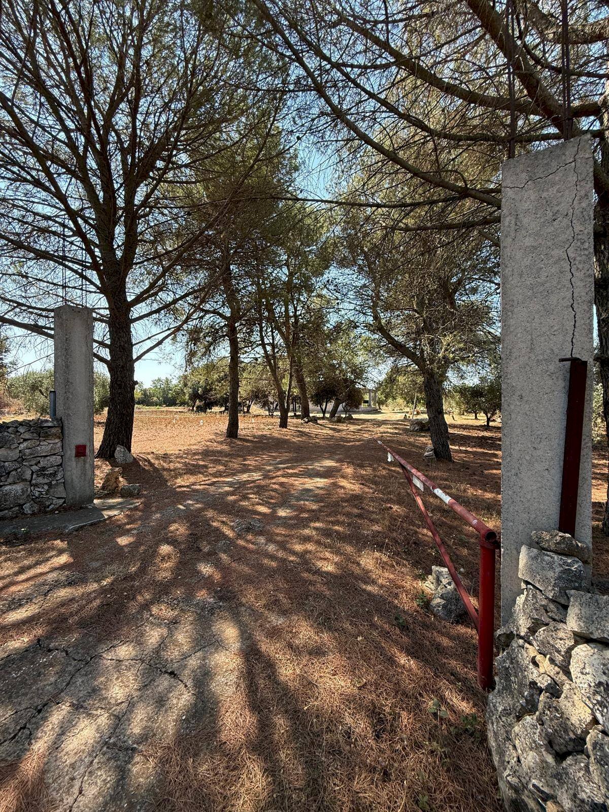 Foto 1 - Villa Massafra - foto 1