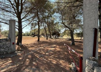 Foto 1 - Villa Massafra - foto 1