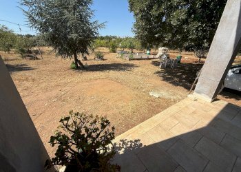 Foto 15 - Villa Massafra - foto 15