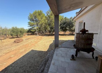 Foto 18 - Villa Massafra - foto 18