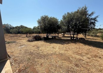 Foto 21 - Villa Massafra - foto 21