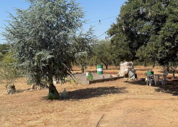 Foto 22 - Villa Massafra - foto 22